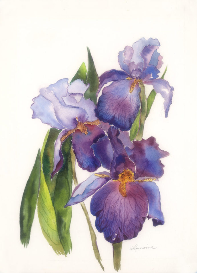 "Blue Iris" painting by Catherine Lemoine