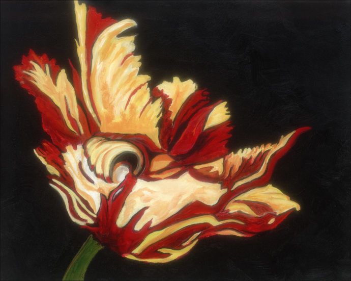 "Canadian Tulip" painting by Catherine Lemoine