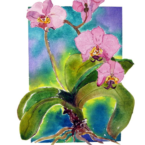 "Orchids 2" painting by Catherine Lemoine