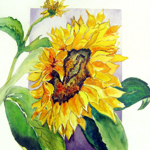 The-Sunflower-Catherine-Lemoine