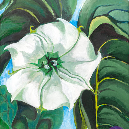 "Wild Flower" painting by artist Catherine Lemoine